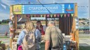 Без названия